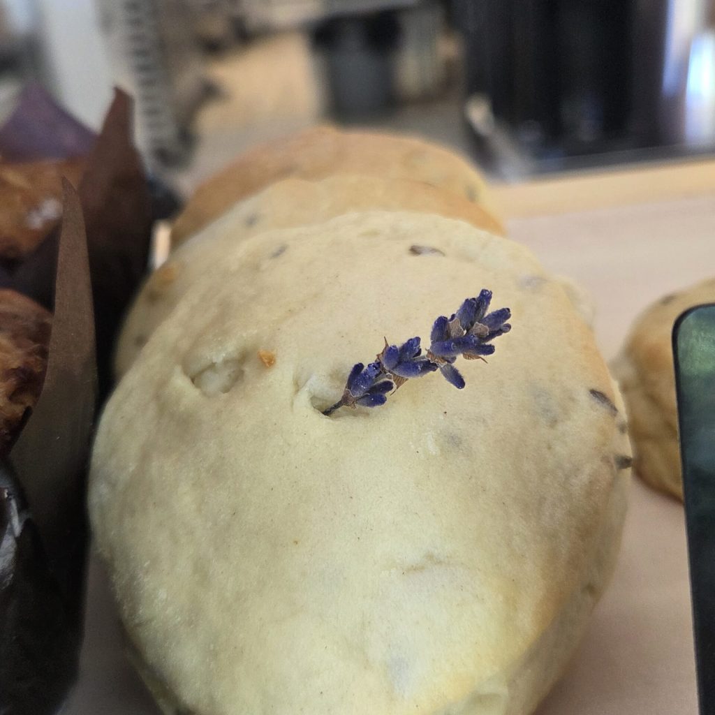 White Chocolate Lavender Scones